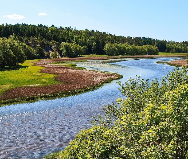 Familien Lillestrand